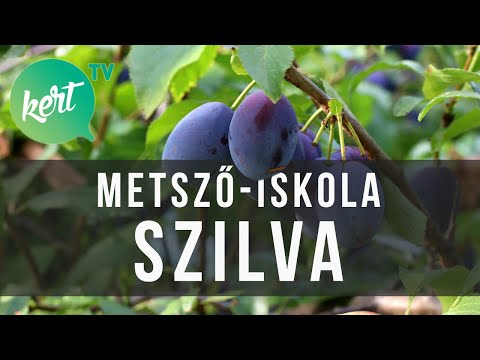 Videó: 3 módszer a remegő mosógép javítására