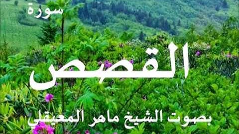 سورة القصص بصوت الشيخ / ماهر المعيقلي 28