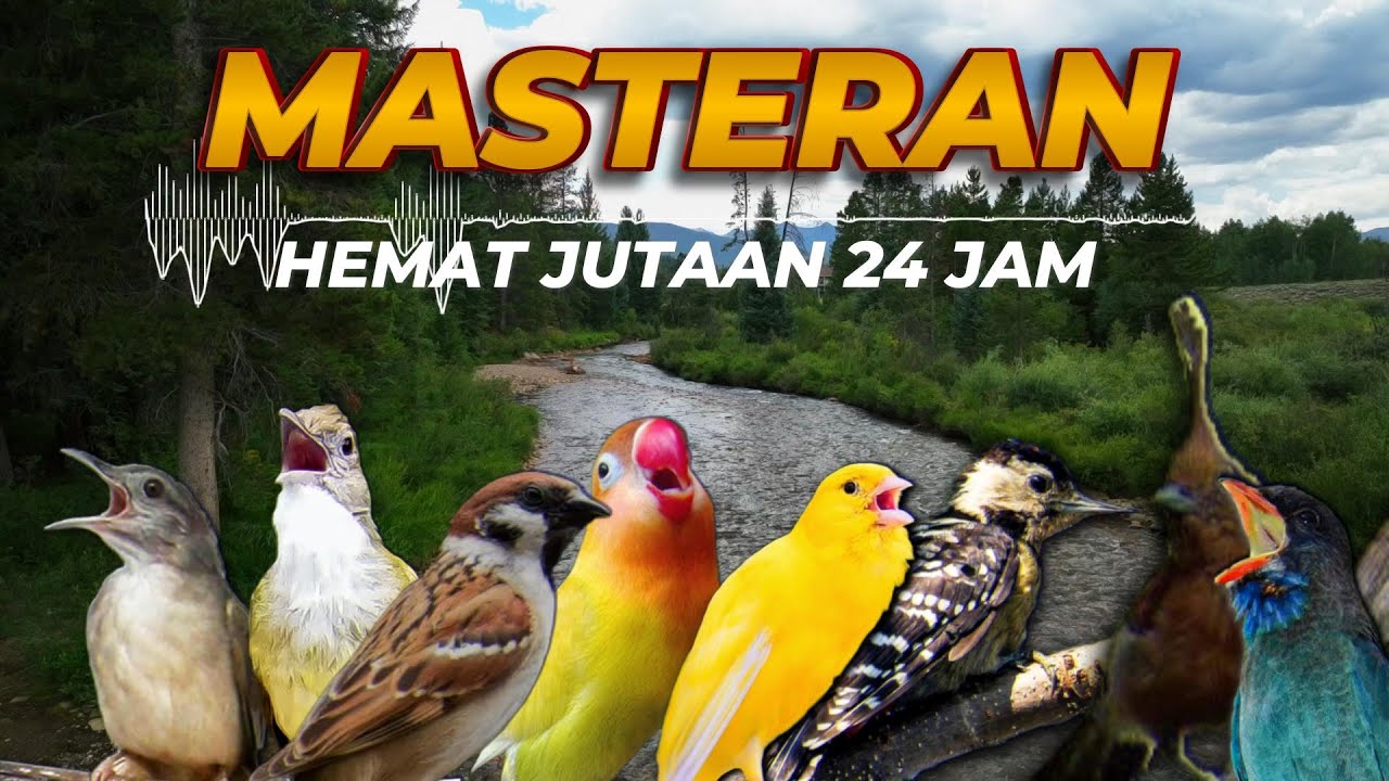 #2 LIVE MASTERAN KOMBINASI FULL ISIAN TEMBAKAN - 24 JAM | HEMAT JUTAAN