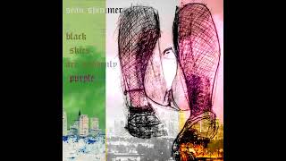 sean shimmer- black skies are suddenly purple