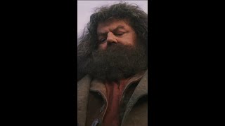 Harry Says Goodbye To Hogwarts