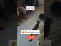 نجبدو على البراتيش ربع ساعة ونولولهم الفيديو هاذا مكانش منها متضحكش