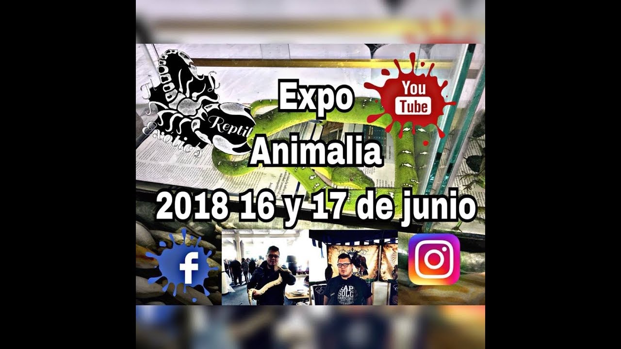  Animalia 2018 HL Reptil Exotics