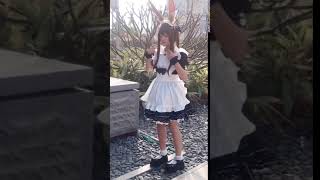 メイド服 コスプレ衣装 可愛いロリータ風のメイド服