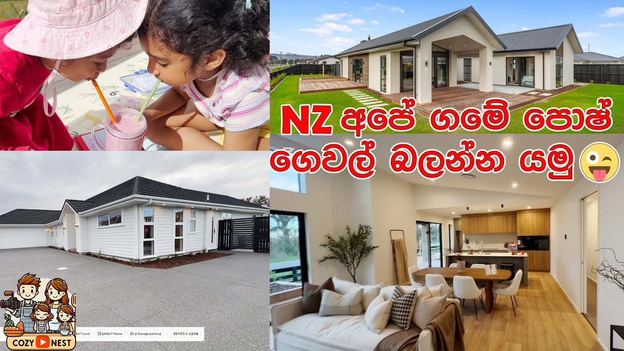 🏡 Modern NZ Homes That Look Expensive… But Aren’t! | සිංහල Vlog 23 | Lankan living in NZ🇳🇿🇱🇰