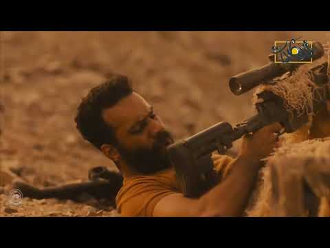 قصة سهم معزي