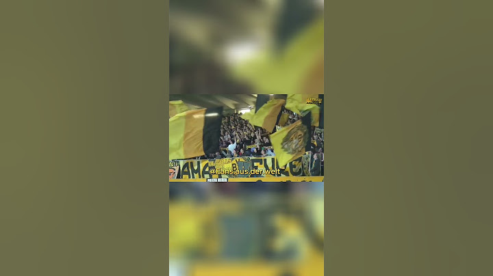 BVB Amateure!
