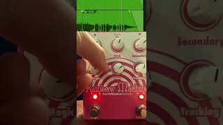 MAGIC 🪄 guitar 🎸 pedal #earthquakerdevices #guitarfxs