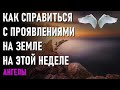 🔹Как мы можем справиться с разнообразием проявлений на Земле на этой неделе-ченнелинг