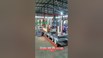 Sawmill wood cutting circular saw machine with automatic CNC log carriage