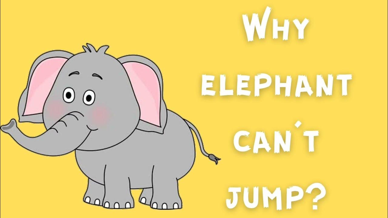 Elephant can't Fly. Can an elephant jump