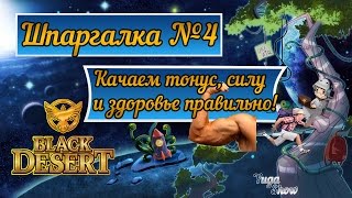 Black Desert: Шпаргалка 4 Качаем тонус, силу и здоровье правильно