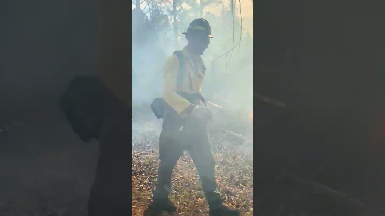 Prescribed Burn with the Alabama Forestry Commission