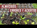 Como TRASPLANTAR ALMACIGOS y PLANTINES - Pack Choi, Kale, Lechuga, Morron y Tomate - Compost Natural