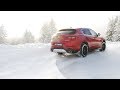 Alfa Romeo Stelvio Q4 AWD with REMUS cat-back system