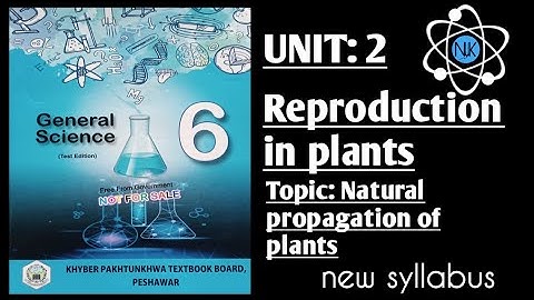 Science Class 6th|in Pashto|Ch#2|lecture#2| Kpk Textbook|Natural propagation of plants