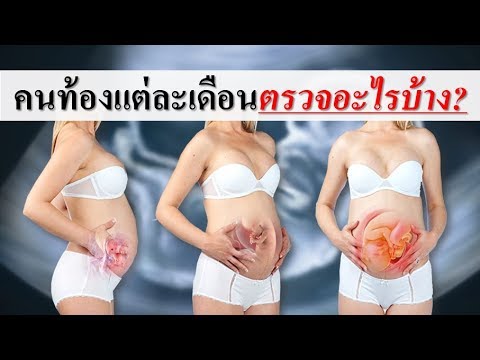 วีดีโอ: ขนส่งให้ฉัน ขนส่ง! โฆษณาจักรยานต้นฉบับ