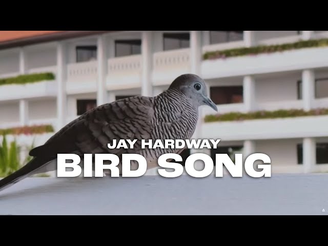 Jay Hardway - Bird Song