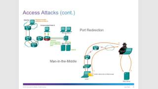 CCNA 1 Chapter 11: Build a Small Network