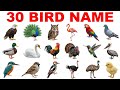 30 Birds Name for Kids | Fun Learning with Real Sounds & Pictures!
