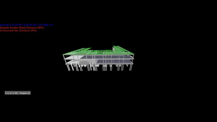 4Dsim animation