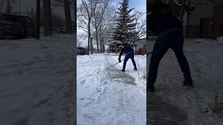 Free snow scraping on a packed down sidewalk. Help a neighbour, clear a sidewalk. #snowangel