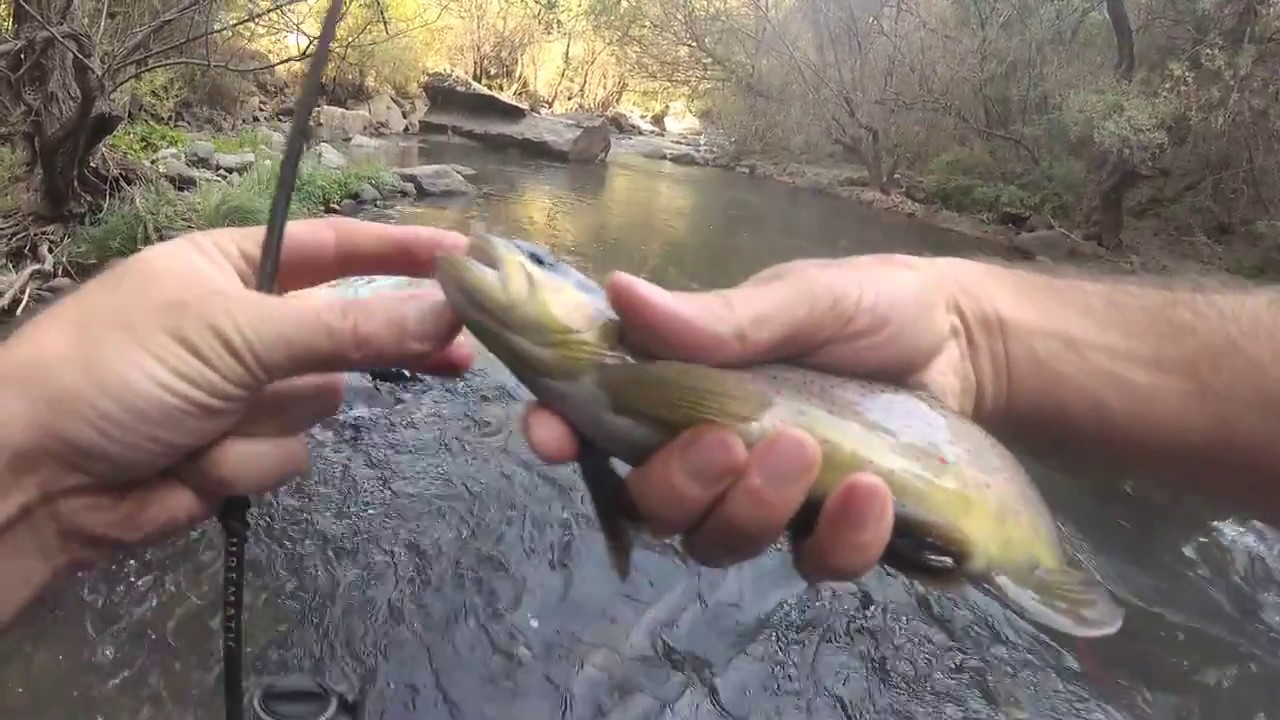 #3 Ловля Ручьевой Форели в Армении. Последний Бой в 2017!