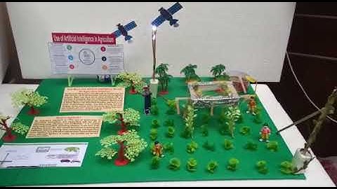 Artificial Intelligence Working Model Plz contact me9560313191