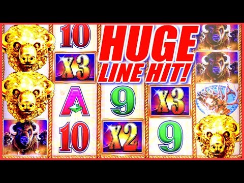 ★ HUGE BONUS LINE HIT! BUFFALO GOLD ALL BONUS WINS - Slot Traveler - 동영상