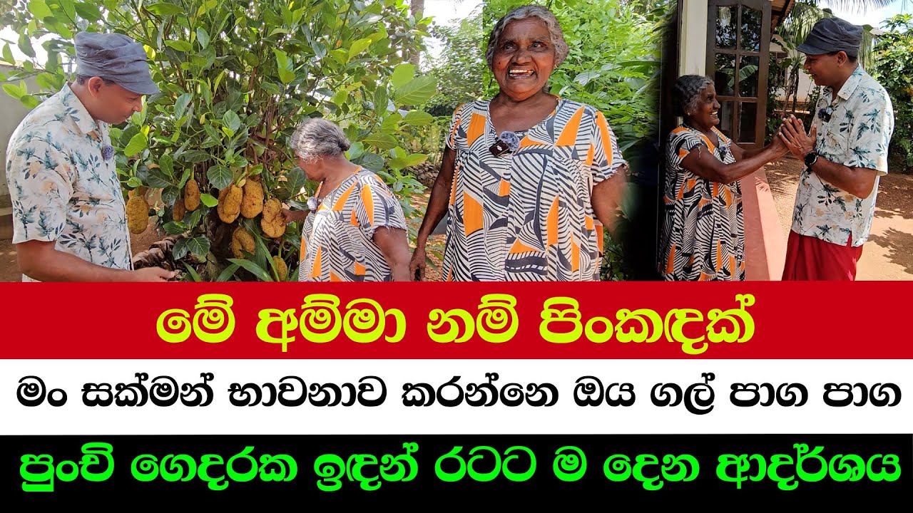 The Serene Garden of a Meditating Mom | Big Inspiration from a Small Home