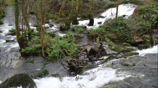 Muiños do rio Barosa-Pontevedra
