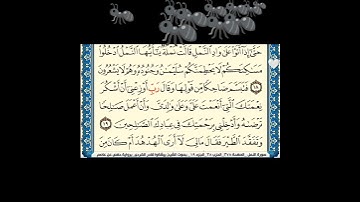 سورة النمل آية ١٨ الشيخ بيشة وا قادر الكردي #القرآن_الكريم#quran#p.2 🐜🤍