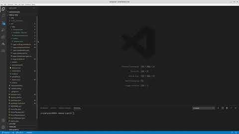 Creating an Angular app from scratch!