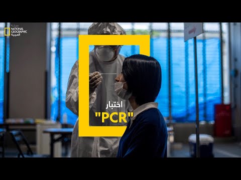 فيديو: هل اختبار rt pcr عبارة عن اختبار مسحة؟