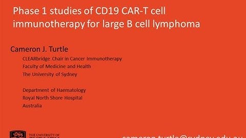 Phase 1 studies of CD19 CAR T cell immunotherapy for large B cell lymphoma