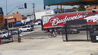 Hit and Run Collision Kills Bicyclist NR18114dm