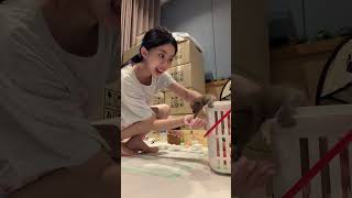 อย่าอิ่มๆๆๆ ลุกมากินนมต่อเร็ว ให้ไวๆๆ🙂‍↔️🍼 #ทริชเชียพี่มีโชค #pramycat #บ้านแมวตระกูลมี