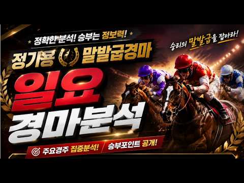 정기용 말발굽경마🔴🎯 8월16일 일요일경마분석 승부포인트공개 🐴🟢서울경마,부산경마 정기용경마🔷🎉