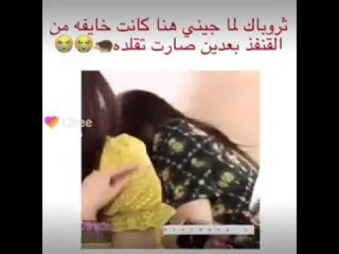 جيني تخاف من القنفذ 