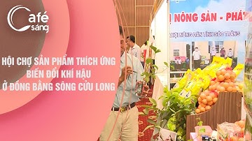 HỘI CHỢ SẢN PHẨM THÍCH ỨNG BIẾN ĐỔI KHÍ HẬU Ở ĐỒNG BẰNG SÔNG CỬU LONG | CÀ PHÊ SÁNG - VTV3