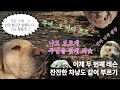 CCM Playlist 충만한 은혜를 고백하는 찬양 모음 2025년 염천중고등부 여름수련회 잔잔한 찬양 Playlist CCM Playlist 충만한 은혜를 고백하는 찬양 모음 2025년 염천중고등부 여름수련회 잔잔한 찬양 Playlist