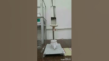 Column Chromatography | Experiment
