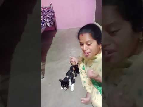 😀படுத்தே கிடக்கறா😀 #shorts #trending #subscribe #for #more #videos #comedy #funny