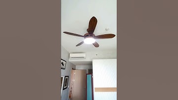 Quạt Trần 5 Cánh có đèn làm mát phòng khách #quattran #quattrandep #quatdien