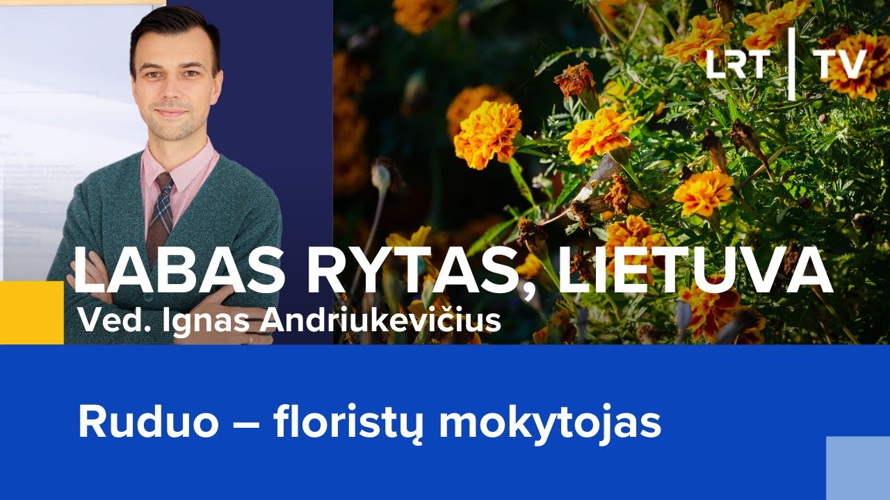 Labas Rytas Ruduo Ruduo – floristų mokytojas | Labas rytas, Lietuva | 2024-10-15 - YouTube