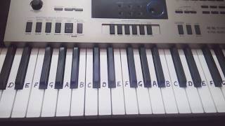 Video thumbnail of "Reliance, Idea Tune on Keyboard Piano|Tutorial|Harmonium|Very easy"