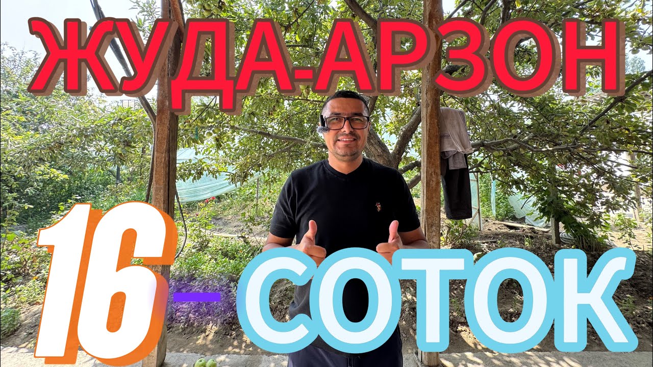 ЖУДА ХАМ АРЗОН 16-СОТОКЛИ УЙ-ЖОЙ ТИПЛИЦАЛАРИ ВА БОГЛАРИ БИЛАН СОТИЛАДИ.