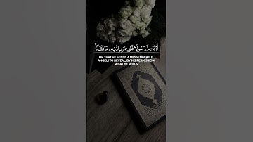 تلاوة عميقة عن مشيئة الله في الذرية | تلاوة خاشعة بصوت الشيخ #ناصر_القطامي