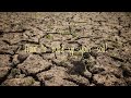 How to build up soil with any organic material.