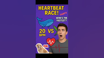Which Animal Has the Fastest Heart? part 3 #heartbeat #shorts